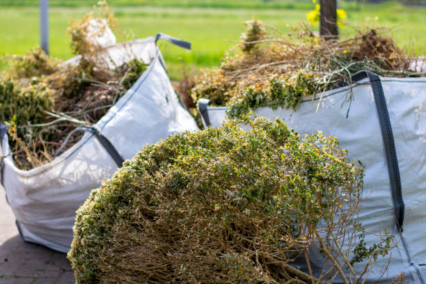 Best Appliance Removal  in Dekal, IL