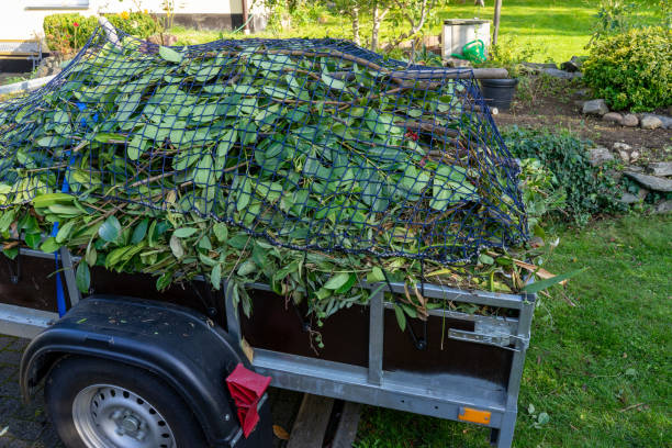 Best Hoarding Cleanup  in Dekal, IL
